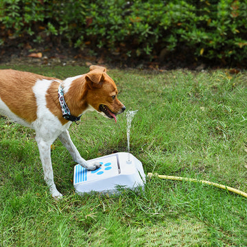 Dog Automatic Drinking Fountain